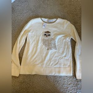 Ann Taylor LOFT Owl Sweater